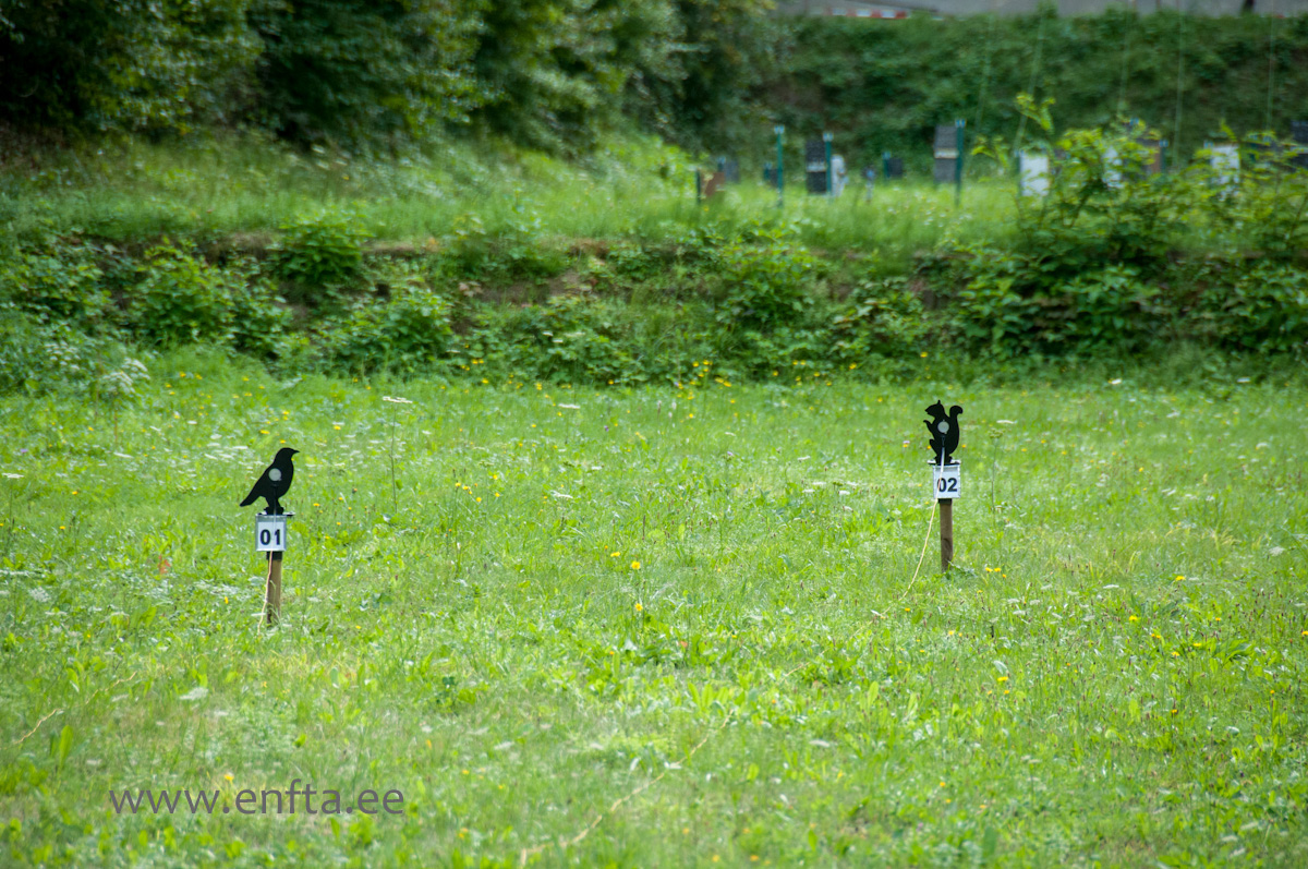 003 First Springer category 10th and 11th place